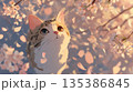 満開の桜の花と猫 135386845