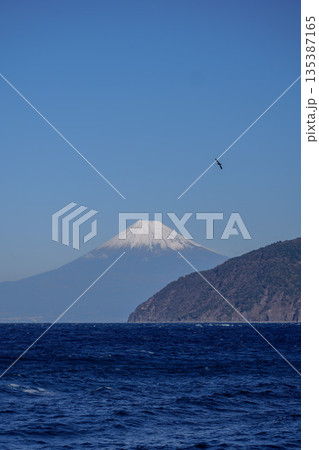 駿河湾と富士山 駿河湾と富士山 135387165