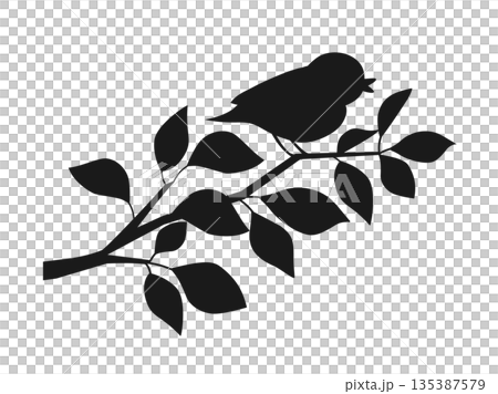 木の枝にとまった小鳥のシルエットのイラスト 135387579
