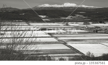 晩秋に降る雪の田園風景 晩秋に降る雪の田園風景 135387581