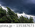 横殴りの雨と強風にしなる木々 135387673