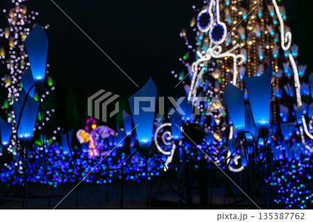 冬の夜のイルミネーション 135387762