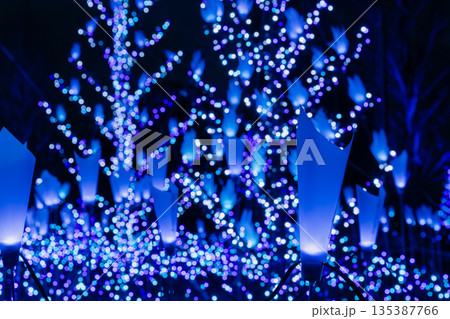 冬の夜のイルミネーション 135387766