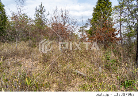 おくの細道アルプス　高取山城主郭　岡山県瀬戸内市 135387968