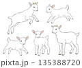 かわいい白いヤギの手書きイラストセット 135388720