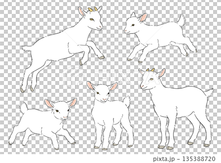 Cute white goat hand-drawn illustration set 135388720