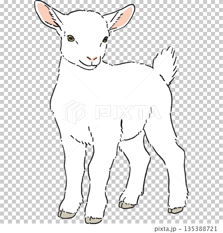 手繪的可愛白山羊插圖 手繪的可愛白山羊插圖 135388721