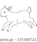 かわいい白いヤギの手書きイラスト 135388722