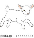 かわいい白いヤギの手書きイラスト 135388723