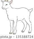 かわいい白いヤギの手書きイラスト 135388724
