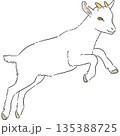 かわいい白いヤギの手書きイラスト 135388725