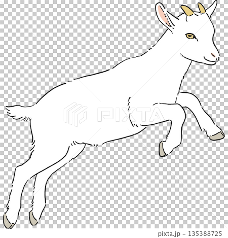 かわいい白いヤギの手書きイラスト 135388725