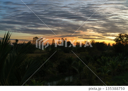 Dramatic sunrise over a tropical rural landscape with a layered cloudy sky. Silhouetted trees and palm leaves frame a golden horizon reflected in a small pond at dawn. Peaceful morning scene. Dramatic sunrise over a tropical rural landscape with a layered cloudy sky. Silhouetted trees and palm leaves frame a golden horizon reflected in a small pond at dawn. Peaceful morning scene. 135388750