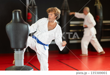 Karate practitioner striking mannequin bag in dojo Karate practitioner striking mannequin bag in dojo 135389001