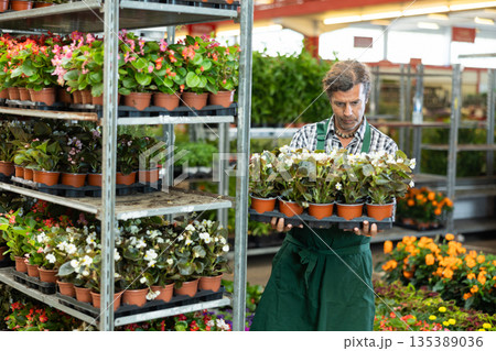 Woman seller examines seedlings of begonia before sending them to customer, 135389036