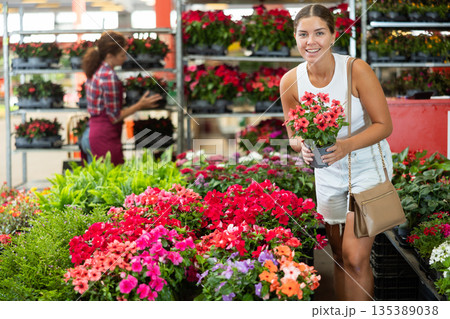 Girl buys and purchase potted vinca plant in flower shop 135389038