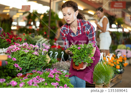 Middle-aged woman holding flower-pot with geranium in plants market Middle-aged woman holding flower-pot with geranium in plants market 135389041
