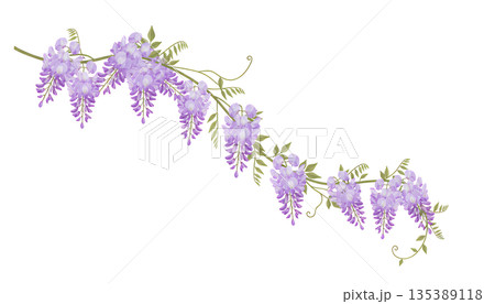 藤の花の斜め配置フローラルコーナー装飾素材 135389118