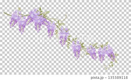 藤の花の斜め配置フローラルコーナー装飾素材 135389118