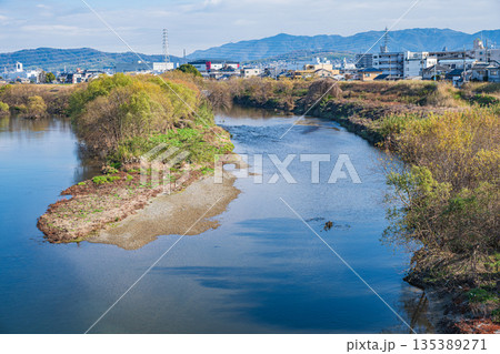 冬の桂川風景 鴨川との合流地点 京都市 冬の桂川風景 鴨川との合流地点 京都市 135389271