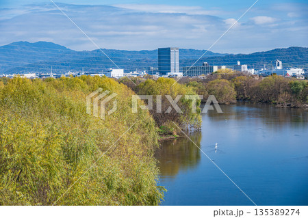 冬の桂川風景 京都市 冬の桂川風景 京都市 135389274