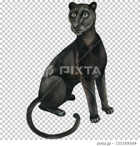 Panther. Hand-drawn watercolor illustration, isolated on a white background. Watercolor drawing wild cat for textile design, wallpaper, prints, and banners 135389584