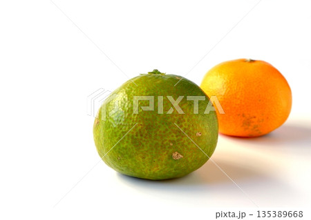 白背景の訳あり完熟みかんと青みかん 135389668