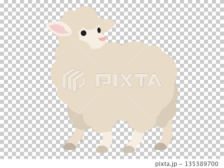 Cute vector illustration of a sheep looking back 135389700