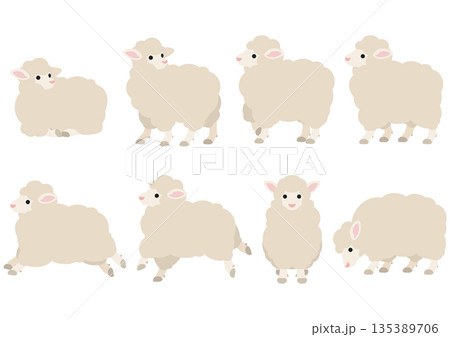 羊のポーズセット/ベクターイラスト素材(8ポーズ) 羊のポーズセット/ベクターイラスト素材(8ポーズ) 135389706