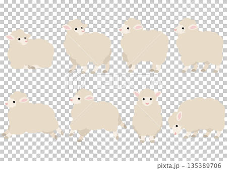 羊のポーズセット/ベクターイラスト素材(8ポーズ) 羊のポーズセット/ベクターイラスト素材(8ポーズ) 135389706