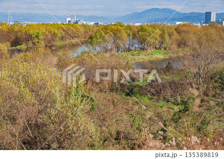 冬の桂川風景 鴨川合流地点 京都市 冬の桂川風景 鴨川合流地点 京都市 135389819