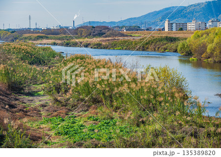 冬の桂川風景　京都市 135389820