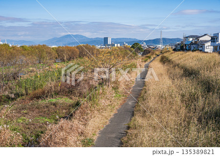 冬の桂川河川敷風景　京都市 135389821