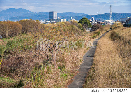 冬の桂川河川敷風景 京都市 冬の桂川河川敷風景 京都市 135389822