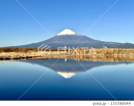 富士川から見る富士山 富士川から見る富士山 135390044