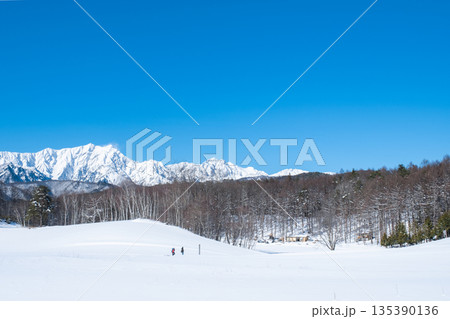 中山高原・スノートレッキング (北アルプスの眺め) 中山高原・スノートレッキング (北アルプスの眺め) 135390136