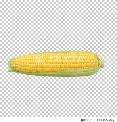 とうもろこし 135390393