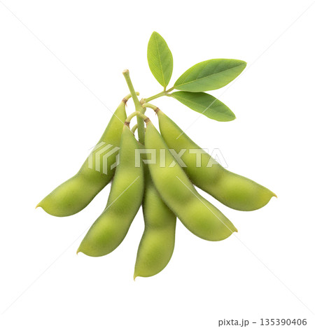 枝付きえだまめ 135390406