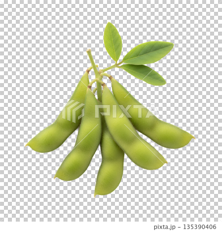 枝付きえだまめ 135390406