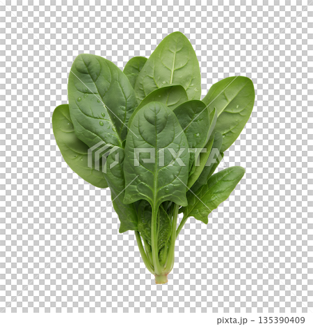 菠菜葉 菠菜葉 135390409