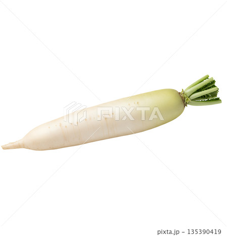 大根 135390419