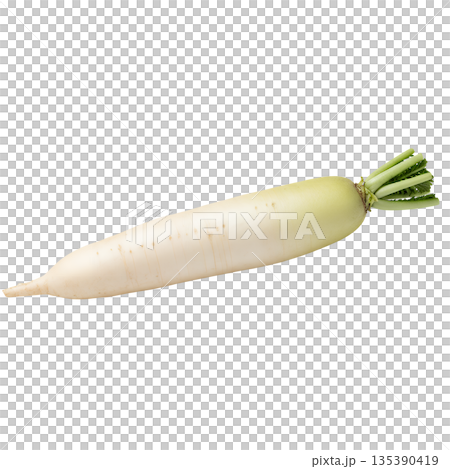 大根 135390419