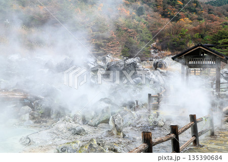 硫黄の匂い漂う雲仙地獄谷　お糸地獄の風景 135390684