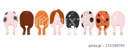 10種類の豚のお尻のセット 135390705