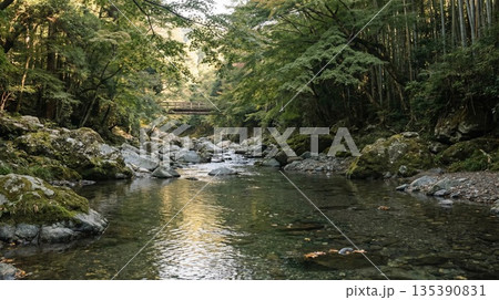 森の中を流れる川 135390831