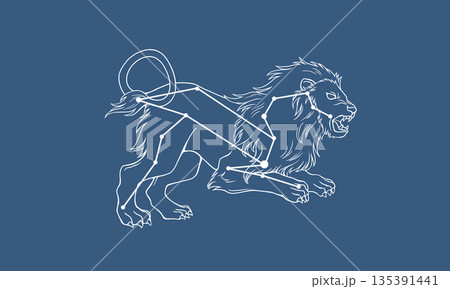 ネイビー色の背景に浮かぶしし座の線画イラスト（白線で獅子の絵と星座線） 135391441