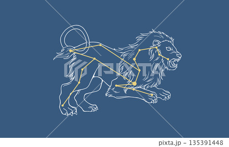 ネイビー色の背景に浮かぶしし座の線画イラスト（白線の獅子の絵とゴールド色の星座線） 135391448