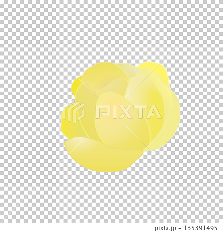 蠟梅の花イラスト 蠟梅の花イラスト 135391495