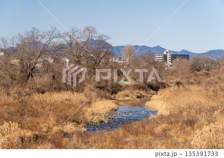東京都の都市風景　八王子市郊外 135391733
