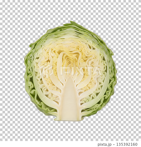新鮮捲心菜橫切面特寫 135392160